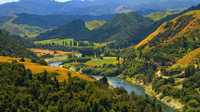 Whanganui-nehri