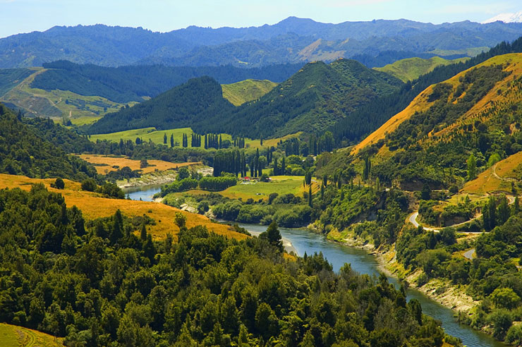 Yeni Zelanda’da bir nehir ‘canlı varlık’ olarak tanındı, hukuki statü verildi