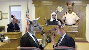 Kanguru mahkemeleri çağı – Orhan Gazi Ertekin (gazeteduvar)