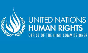 BM İnsan Hakları Yüksek Komiserliği; “OHAL Kaldırılmalı ve Hukukun Üstünlüğü Yeniden Tesis Edilmeli”